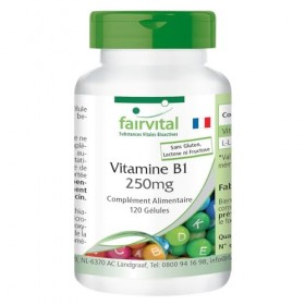 Fairvital | Vitamine B1 Thiamine 250mg - 120 gélules - qualité contrôlée et haute dose - 100% végétalien - Made in Germany