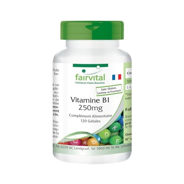 Fairvital | Vitamine B1 Thiamine 250mg - 120 gélules - qualité contrôlée et haute dose - 100% végétalien - Made in Germany