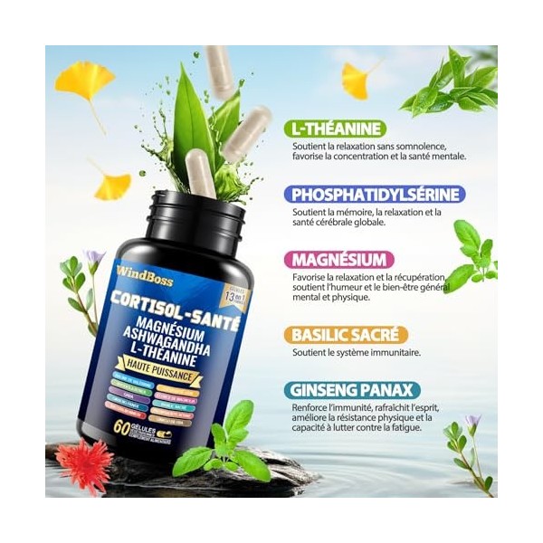 WindBoss 60 + 90 capsules Ensemble de capsules Myo-inositol et de cortisol, naturel, sans additifs et végétalien