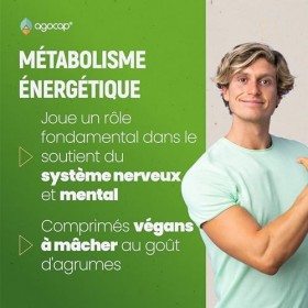 Vitamina B12,1000µg. B12 Vitamine 160 Comprimés - Soutient le Système Nerveux. Vitamine B12 Adulte, Énergie, Immunité, Métabo