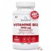 Bandini® Vitamine B12 1000mcg Haute Dose, 450 comprimés 14 Mois , Methylcobalamin 1000µg pure et disponibile, 100% Vegan, Vi