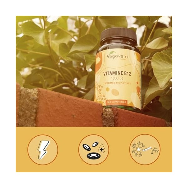 Vitamine B12 Vegan 1000 µg | Testé en Laboratoire & Sans Additifs | Avec 2 Formes : Méthylcobalamine + Adénosylcobalamine | A