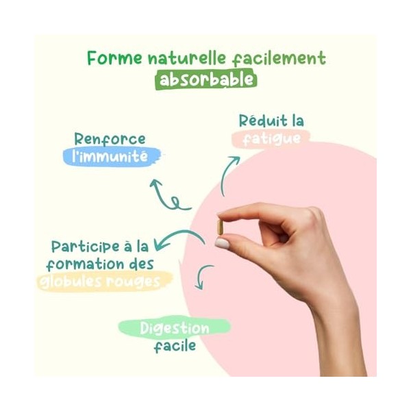 Vitamine B12 Bio | 120 gélules 4 mois | 100% naturelle et végétale | Premium & Vegan | vitamin B 12 à 25 µg 1000% des AJR