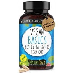 Vegan Basics - Vitamine B12+D3+K2+B2+B9 Acide folique + Fer + Iode - Complexe de 120 gélules 4 mois de stockage 