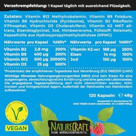 Vegan Basics - Vitamine B12+D3+K2+B2+B9 Acide folique + Fer + Iode - Complexe de 120 gélules 4 mois de stockage 