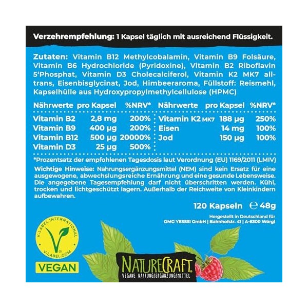 Vegan Basics - Vitamine B12+D3+K2+B2+B9 Acide folique + Fer + Iode - Complexe de 120 gélules 4 mois de stockage