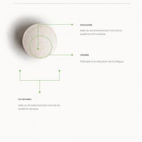 Natésis Vitamine B12 Bio & Vegan – Issue du Shiitaké – Formes naturelles Méthyl + Adénosyl + Hydroxy – 10 µg/jour – Certifiée