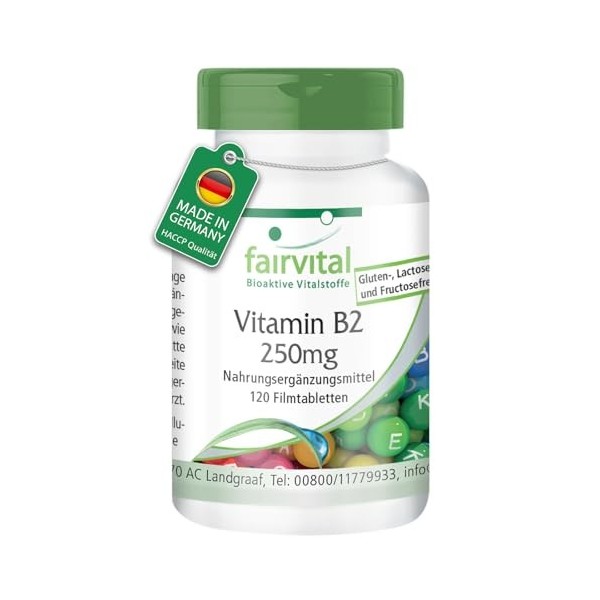 Fairvital | Vitamine B2 250mg - 120 comprimés - Riboflavine - qualité contrôlée et hautement dosée - 100% végétalien - Fabriq