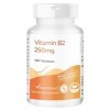 Vitamintrend Vitamine B2 Riboflavine 250mg, 180 comprimés, 250mg par comprimé, hautement dosé, complément alimentaire végétal