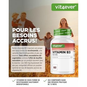 Vitamine B3 Niacine - 500 mg - 365 Comprimés - Nicotinamide Haute Dose - Flushfree - Sans Additifs Indésirables - Vegan