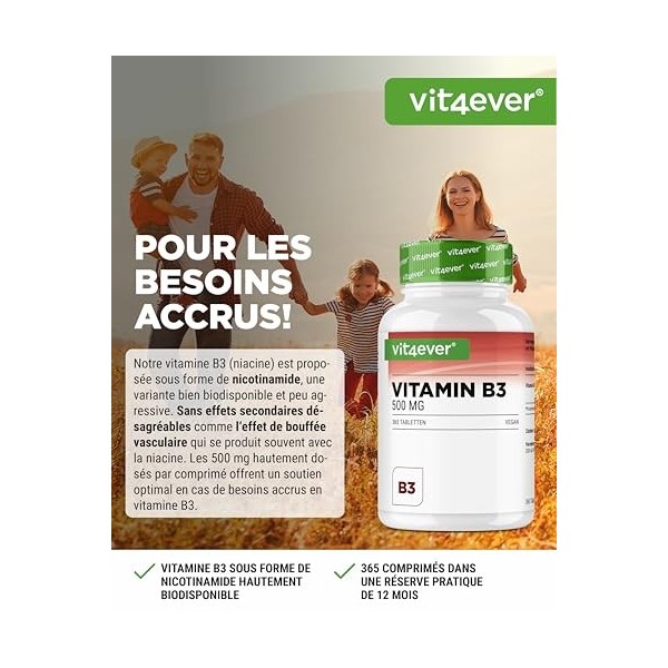 Vitamine B3 Niacine - 500 mg - 365 Comprimés - Nicotinamide Haute Dose - Flushfree - Sans Additifs Indésirables - Vegan