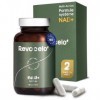 Revocelo NAD+ Synergy – Formule 4-en-1, 300 mg de NR pureté 98% , cure 2 mois, soutien de l’énergie cellulaire, avec TMG, ap
