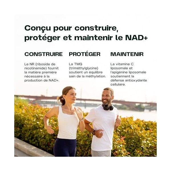 Revocelo NAD+ Synergy – Formule 4-en-1, 300 mg de NR pureté 98% , cure 2 mois, soutien de l’énergie cellulaire, avec TMG, ap