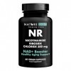 Nature Diet NR - 300 mg de Riboside de Nicotinamide - NAD+ Booster - 60 Capsules Végétaliennes - Soutien au Vieillissement Sa