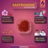 SaffroGene® – Gommes au safran et vitamine B6 – 60 gommes véganes au goût fruits rouges – Formule naturelle – Fabriqué en Fra