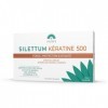 Silettum Kératine 500 Boîte de 40 Comprimés | Protège, Structure et Sublime votre Chevelure | Pour les Cheveux Sur-Sollicités