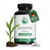 Green Naturals® Inositol – Hautement dosé 2 250 mg avec ratio 90:10 myo-inositol & D-chiro-inositol – Issu de fermentation 