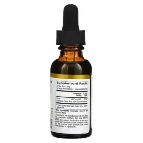 Acide folique DropIns, santé cardiaque, énergie - fonction cérébrale et digestive, soutien du foie - sans gluten, sans OGM, v