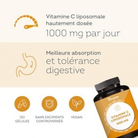 Vitamine C Liposomale 1000mg Haute Absorption - 120 Gélules Vegan - Antioxydant, Anti-Fatigue, Immunité Adulte - Fabriqué en 