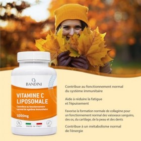 Bandini® Vitamine C Liposomale 1000mg, 180 Gélules Vegan 3 mois , Acide Ascorbique à Haut Dosage, Haute Absorption et Biodis