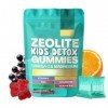 Gummies pour enfants, renforce la fonction immunitaire, favorise la santé intestinale, nettoie les toxines du corps, vitamine