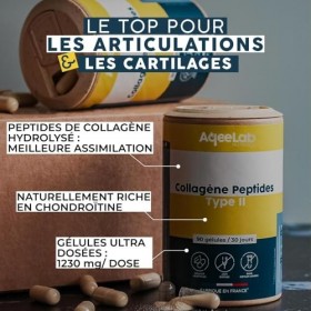 Peptides de collagène Peptan® type 2 – Colartix® • Articulations & Cartilages • Collagène hydrolysé IIm • 90 gélules végétale...