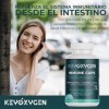 Enzymes digestives libération intestinale avec vitamine D B6 et K - Complément alimentaire végan pour système immunitaire, ré