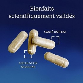 Vitamine K2 MK7 80 µg - Ossature & Coagulation - Forme Trans Brevetée Vegan - Biofermentation Pois Chiche - Biodisponibilité 