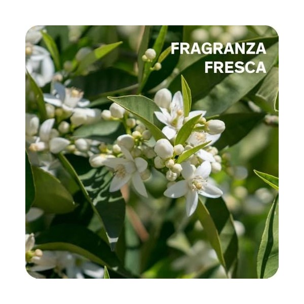 Lierac - Sébolobie - Gel Sébo-Régulateur Matifiant 40ml - Soin Visage - Anti Imperfections - Astringeant - Sébo Régulateur - ...