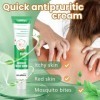 20g Soulagement Démangeaisons Pommade, Douce Crème Apaisante Soin pour Peau, Efficace Crème Pour Le Corps Pour Apaise La Peau