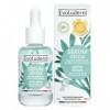 EVOLUDERM – Sérum Détox aux Algues Marines et Acide Hyaluronique - 30 ml - 98% d’Origine Naturelle - Végan - Fabrication Fran
