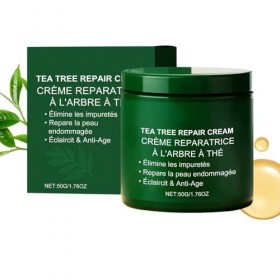 Crème Pour Le Visage À Lhuile Darbre À Thé Formule Naturelle Hydrate En Profondeur Soulage Sécheresse Et Répare La Peau Con