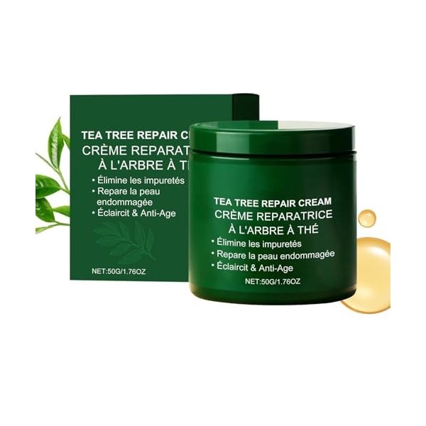 Crème Pour Le Visage À Lhuile Darbre À Thé Formule Naturelle Hydrate En Profondeur Soulage Sécheresse Et Répare La Peau Con