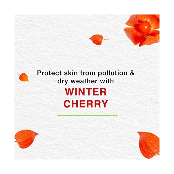 Himalaya Herbal Skin Nourishing Cream Aloe Vera Winter Cheery Re-hydrating 50ml