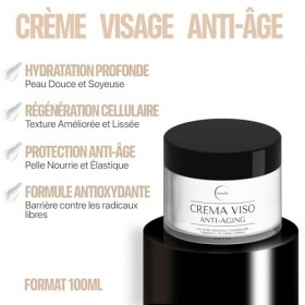 Creme Hydratante Visage 100 ml, Creme Anti Rides Femme et Homme avec Acide Hyaluronique, Coenzyme Q10, Vitamine C Jour et Nui