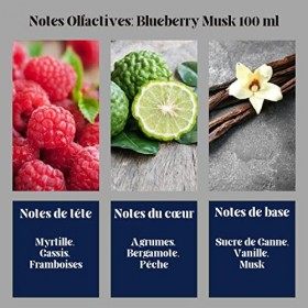 Parfum BLUEBERRY MUSK Santeur Dubai 100 ml Pour Les Hommes et Les Femmes Senteur Arabian Orientale Unisexe - Notes : Agrumes 