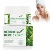 Crème naturelle à base de plantes contre lacné 50g, Crème Hydratante Visage, Améliore léclat lisse et lhumidité, Facial Ne