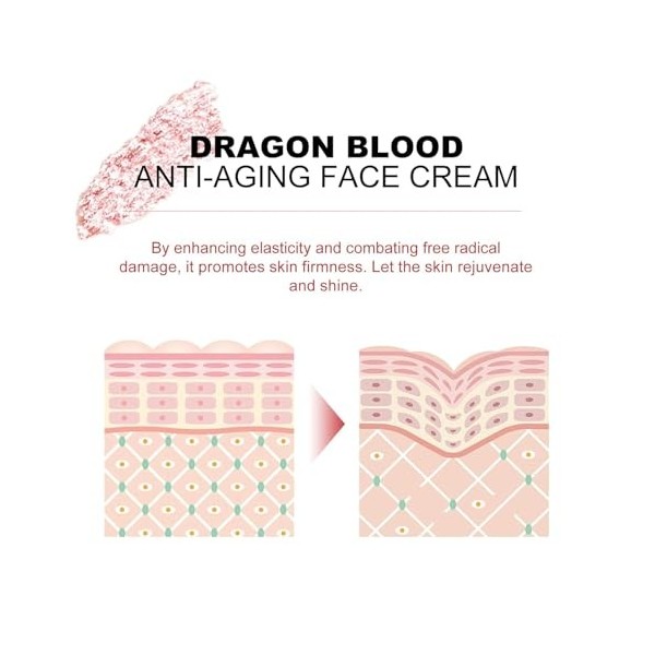 Zynewa Dragon Sang Crème hydratante et sérum anti-rides – Hydratant, pour une peau douce et ferme, réduit la pigmentation et 