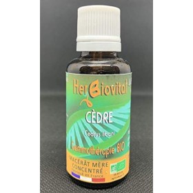 Herbiovital - Cèdre Bio - Le Macérât de la peau - Gemmothérapie Concentrée - 30 ml - Agit efficacement contre les problèmes d