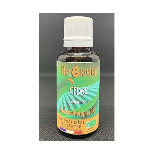 Herbiovital - Cèdre Bio - Le Macérât de la peau - Gemmothérapie Concentrée - 30 ml - Agit efficacement contre les problèmes d