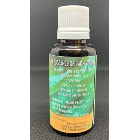 Herbiovital - Cèdre Bio - Le Macérât de la peau - Gemmothérapie Concentrée - 30 ml - Agit efficacement contre les problèmes d