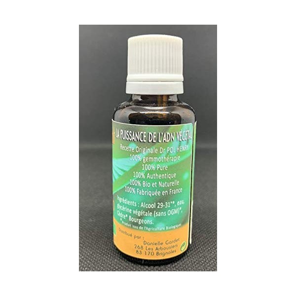 Herbiovital - Cèdre Bio - Le Macérât de la peau - Gemmothérapie Concentrée - 30 ml - Agit efficacement contre les problèmes d