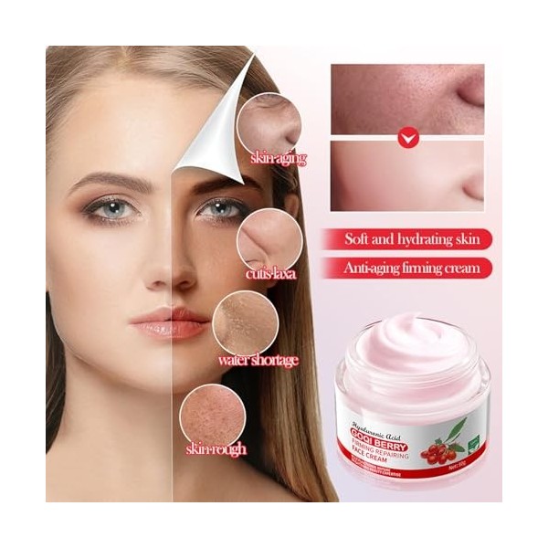 Crème hydratante anti-rides aux baies de goji - 50 g - Cosmétique naturel - Crème hydratante pour le visage - Réduit les ride