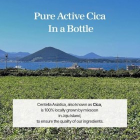 mixsoon Essence de Centella Asiatica Soondy hydratante et apaisante instantanée pour les peaux irritées et sensibles - Soin c