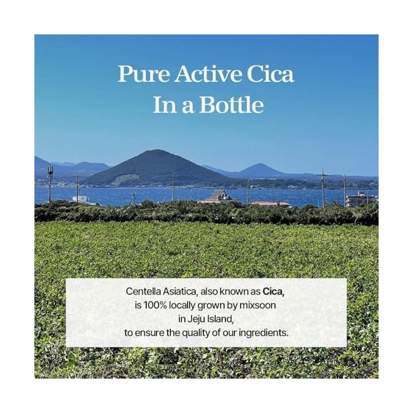 mixsoon Essence de Centella Asiatica Soondy hydratante et apaisante instantanée pour les peaux irritées et sensibles - Soin c