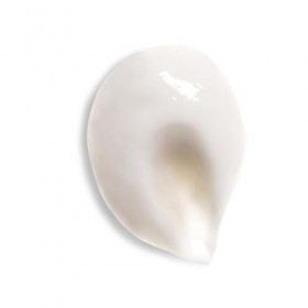 Gel-Crème de Jour Illuminateur Rose Sauvage Crème Jour et Nuit