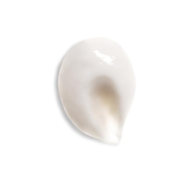 Gel-Crème de Jour Illuminateur Rose Sauvage Crème Jour et Nuit