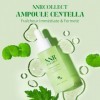 ANRCOLLECT Sérum Centella Asiatica, Ampoule Centella, Sérum Apaisant Visage pour Rougeurs et Peaux Irritées à lArmoise & Cic