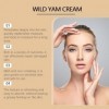2 Pcs Wild Yam Cream, Wild Yam Cream for Hormone Balance, Organic Wild Yam Balancing Cream, Wild Yam Moisturizing Cream for M
