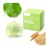 Gel Hydratant À la Centella Asiatica - Hydratation Intense, Formule Douce, Convient Aux Peaux Sensibles, Application Quotidie...